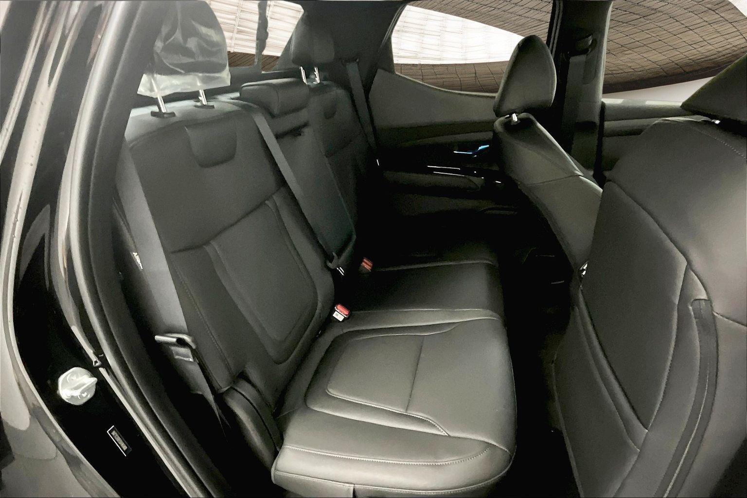 2025 Hyundai Santa Cruz SEL Activity photo 6