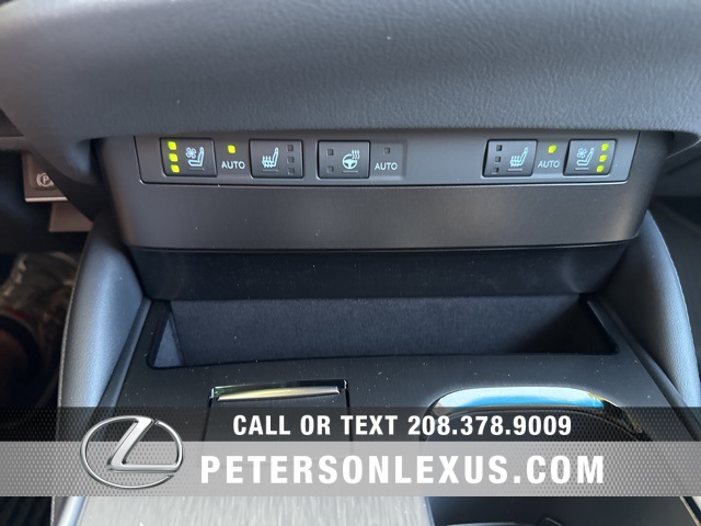 2025 Lexus ES 300h photo 11