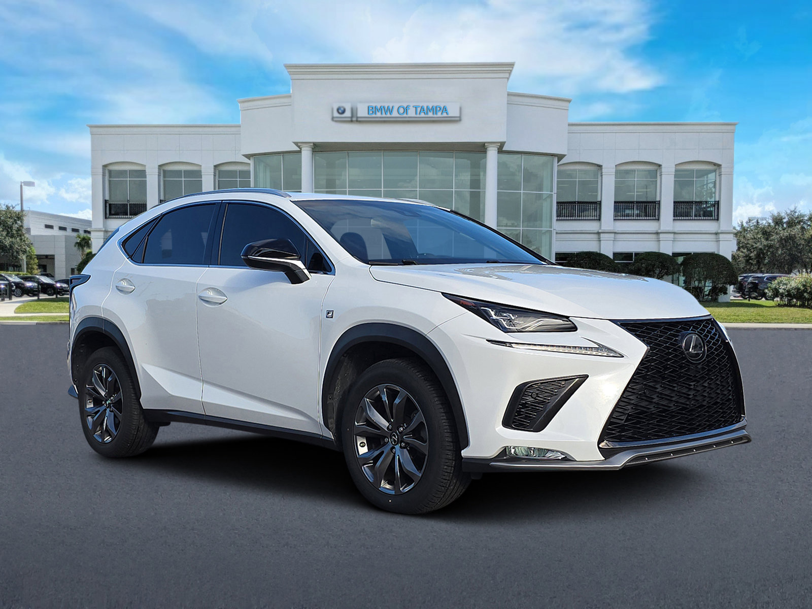 2018 Lexus NX 300 F SPORT's photo