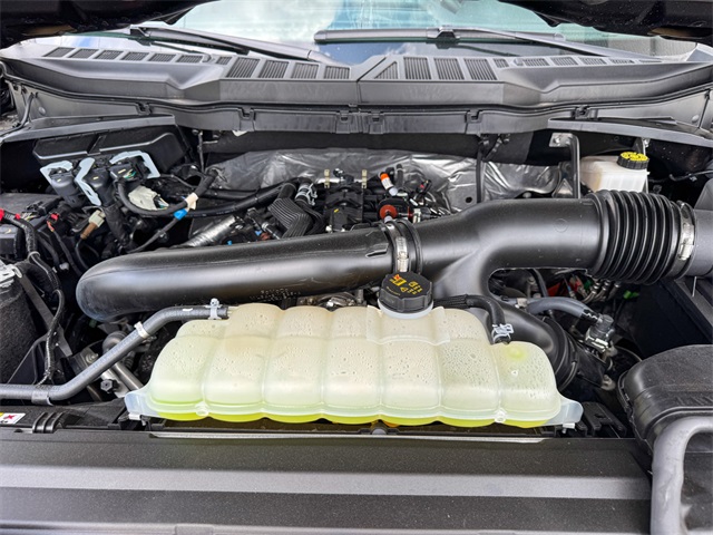 2024 Ford F-150 XLT photo 41