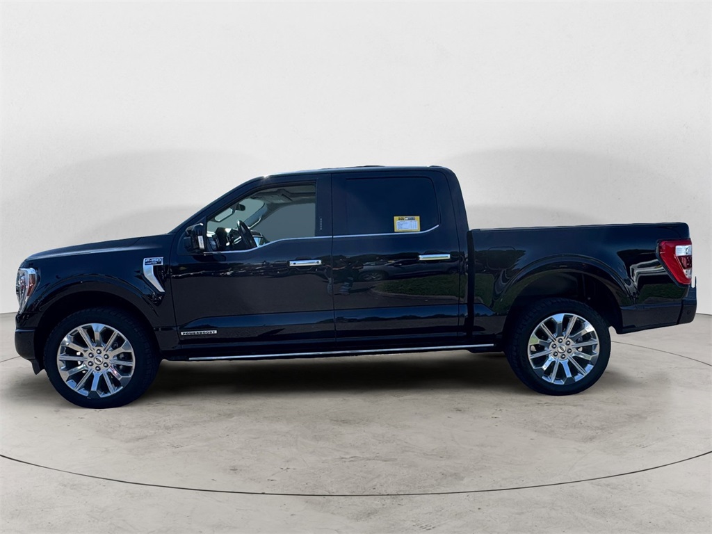 2023 Ford F-150 Limited photo 2