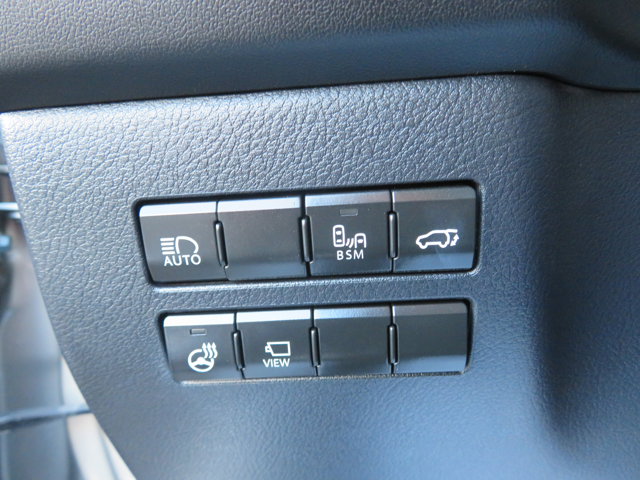2020 Lexus NX 300h Premium photo 33