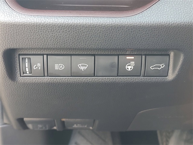 2019 Toyota RAV4 Limited photo 22