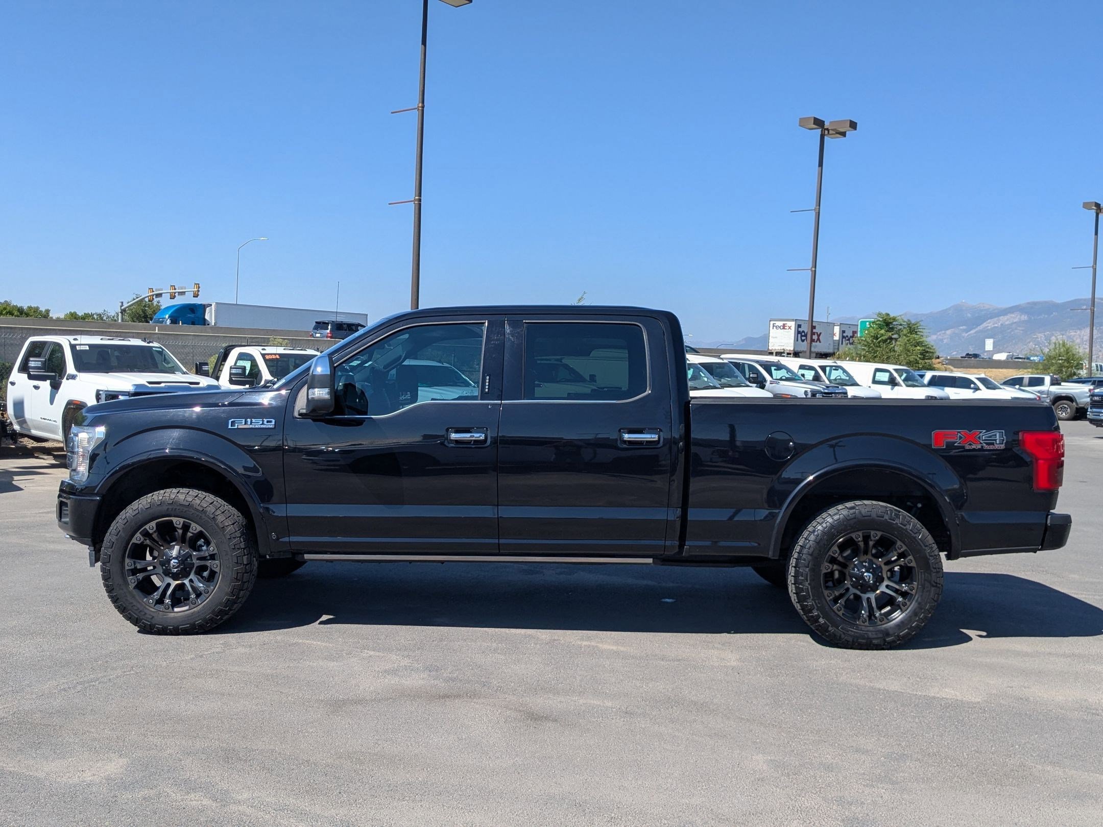 2020 Ford F-150 Platinum photo 2