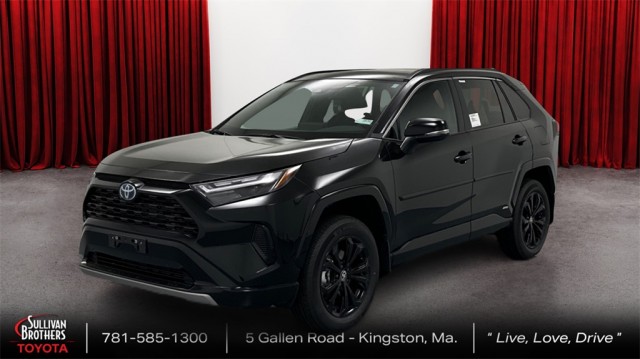 2024 Toyota RAV4 Hybrid SE