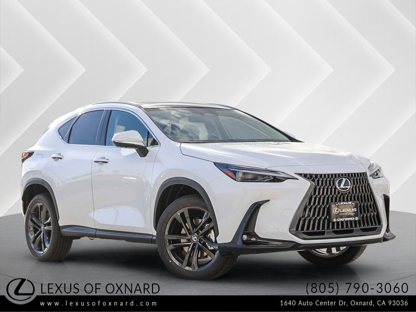 2026 Lexus NX PHEV 450h+'s photo