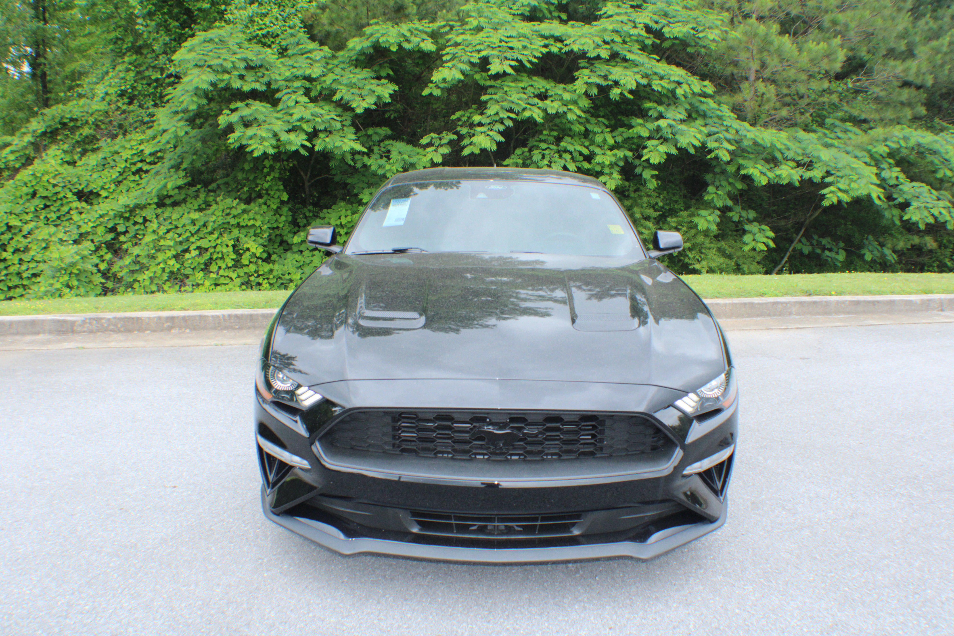 2023 Ford Mustang EcoBoost photo 13