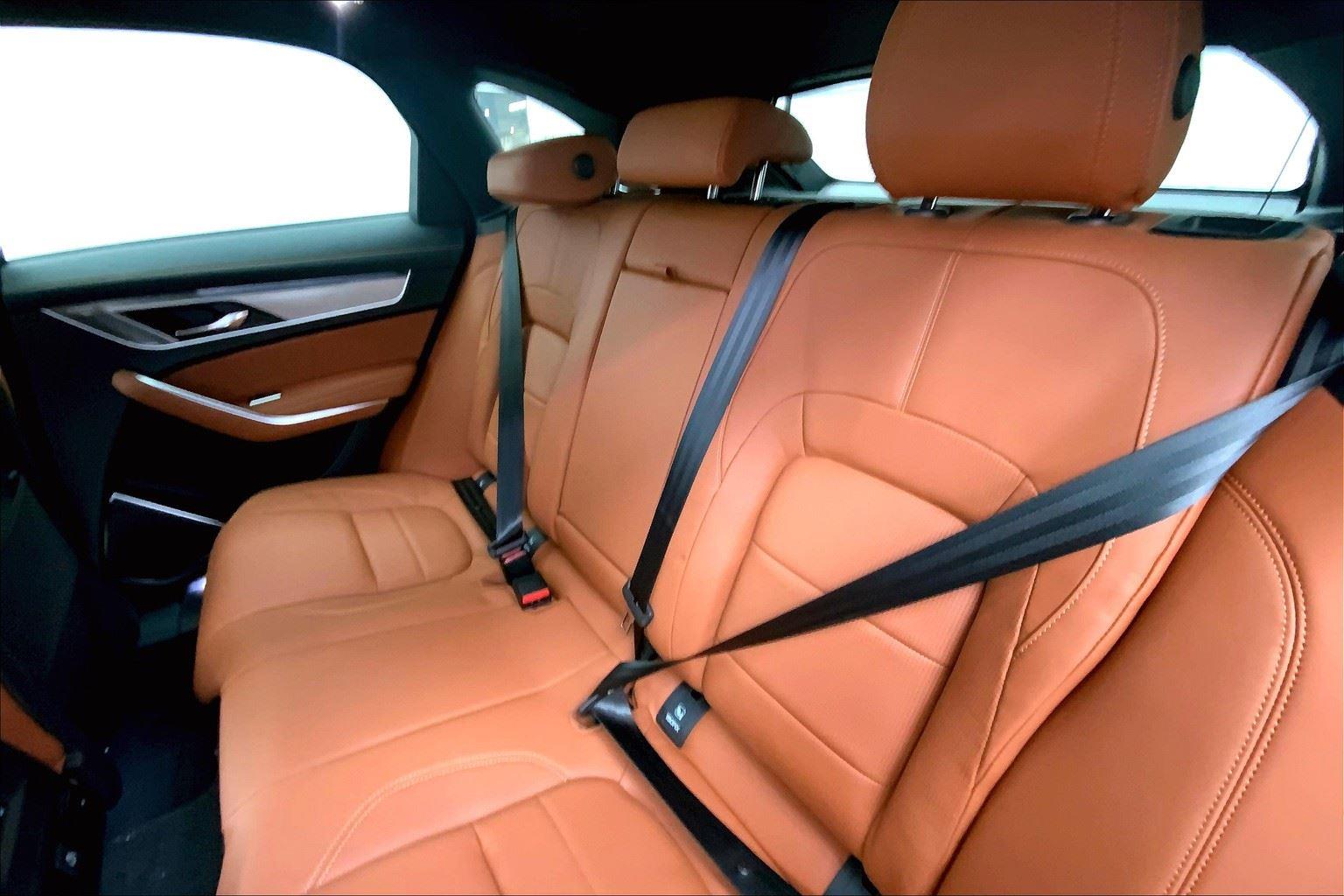 2026 Jaguar F-PACE P250 R-Dynamic S photo 6