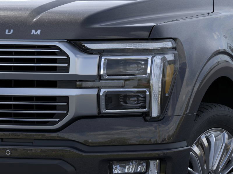 2025 Ford F-150 Platinum photo 16
