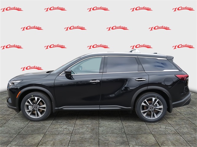 2025 Infiniti QX60 Luxe photo 6