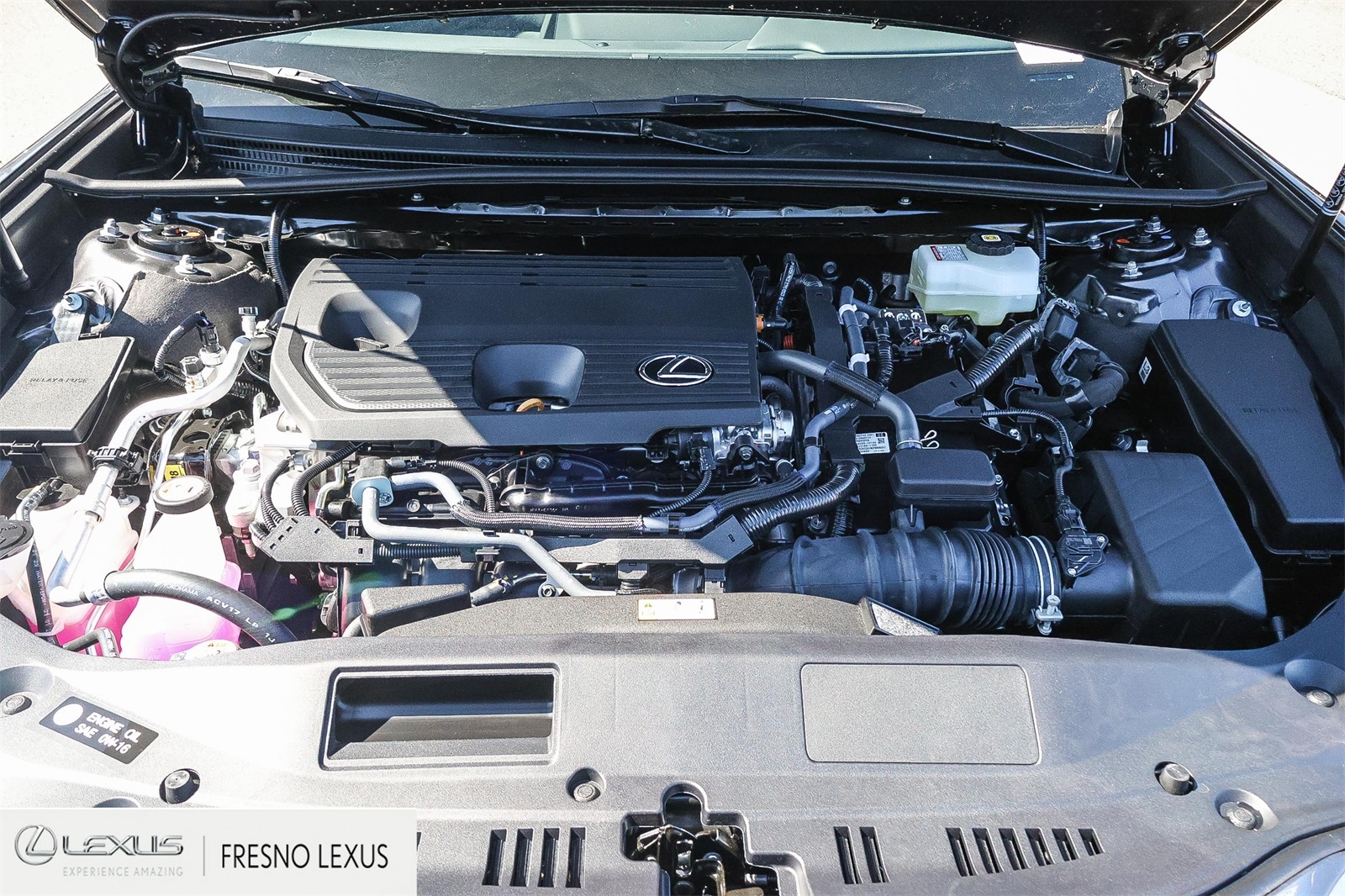 2025 Lexus ES 300h photo 12