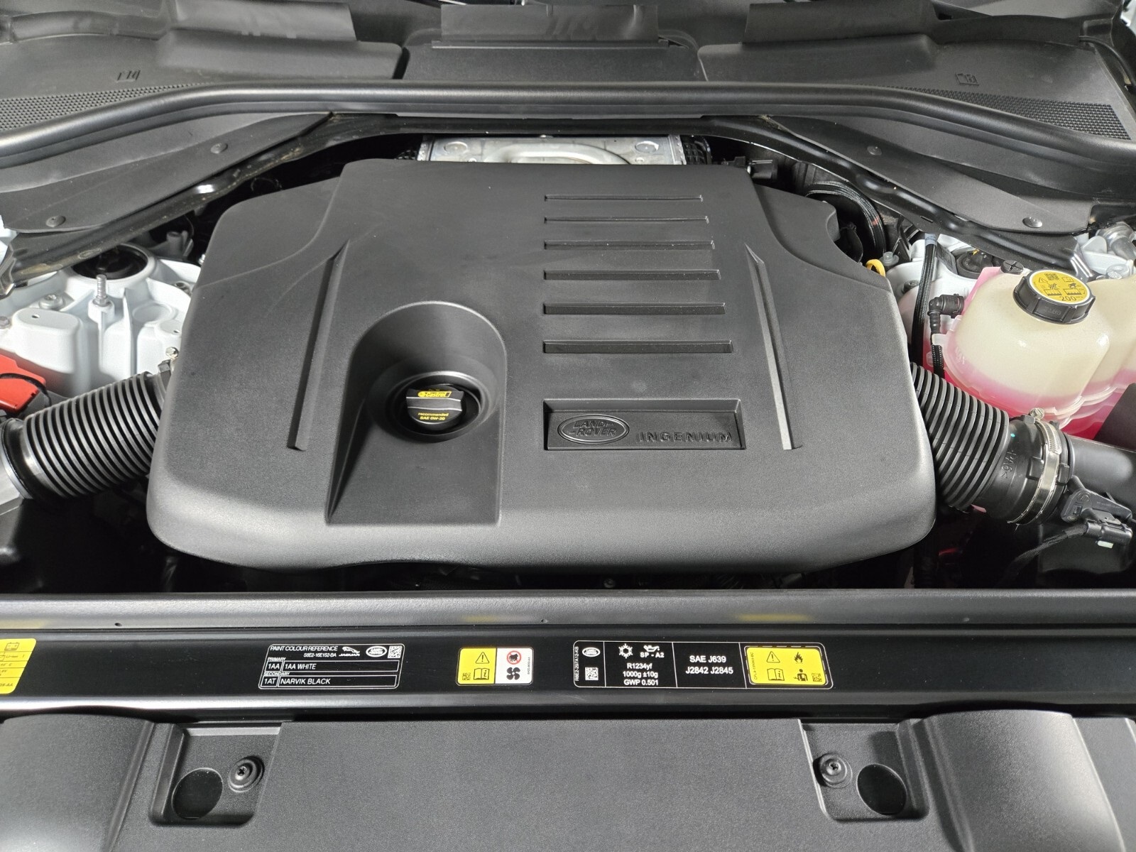 2025 Land Rover Range Rover Sport SE photo 21
