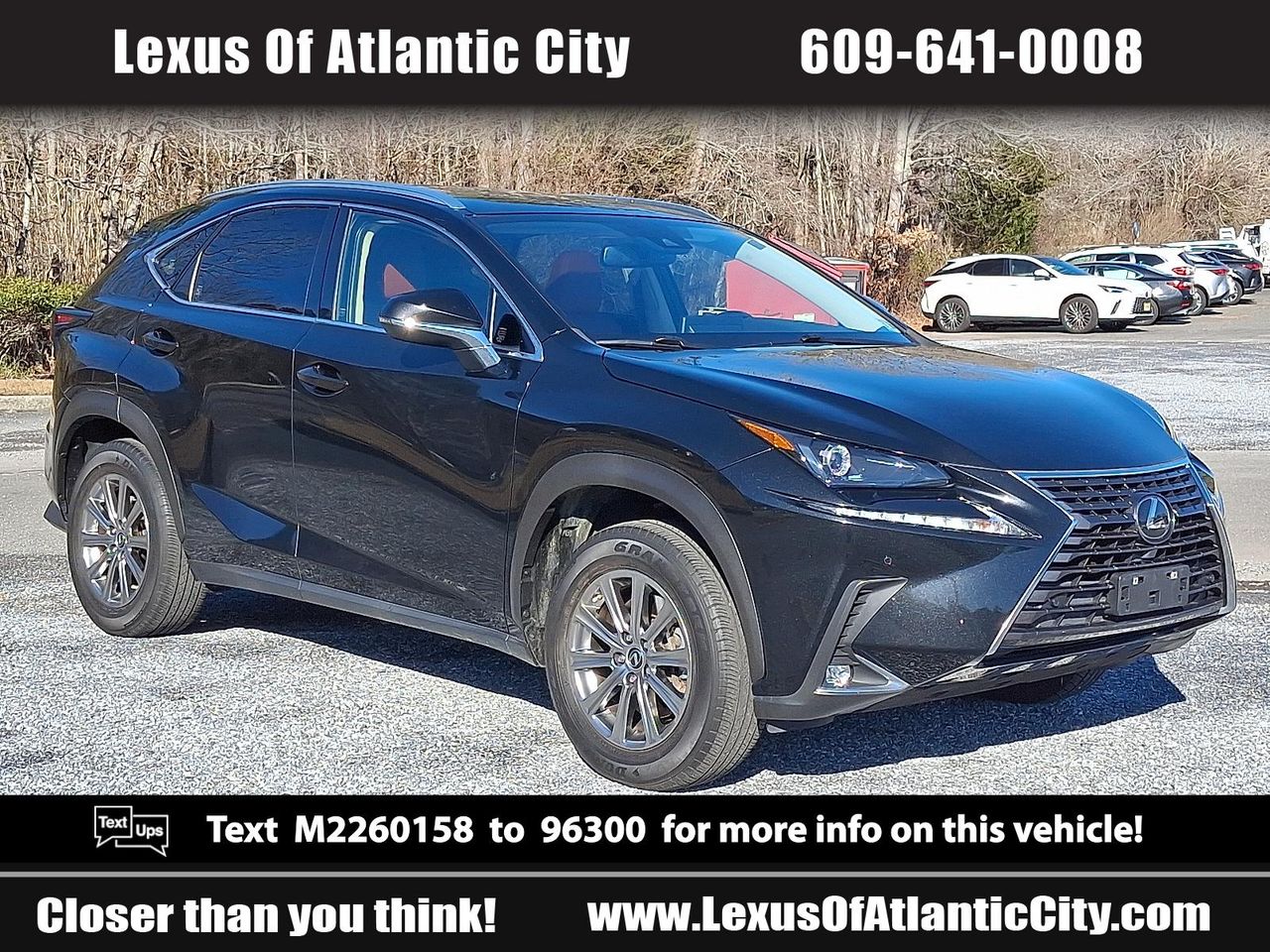 2021 Lexus NX 300's photo