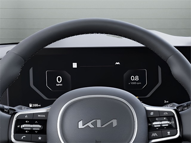 2025 Kia Carnival SX Prestige photo 19