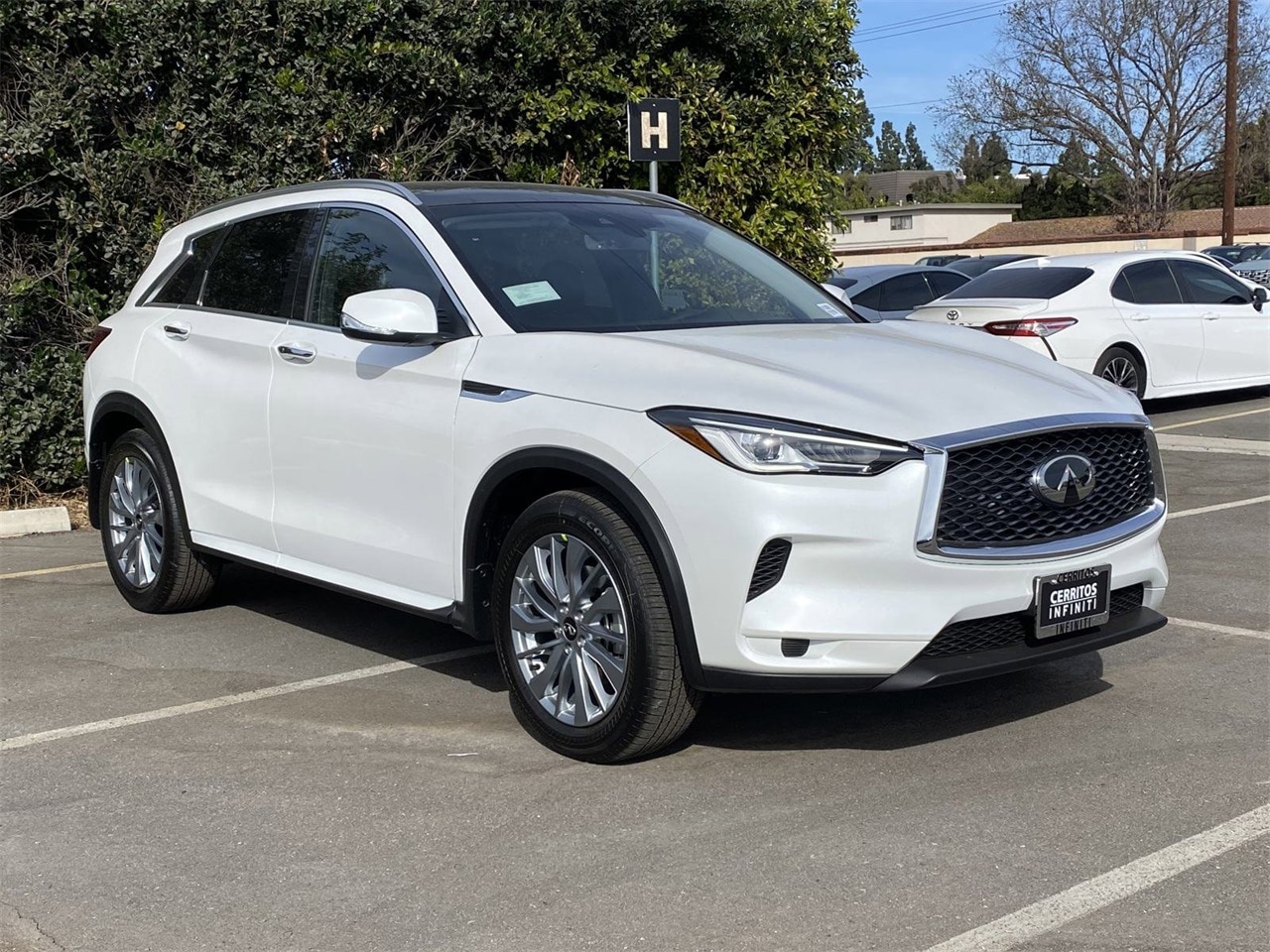 2025 Infiniti QX50 Luxe photo 3