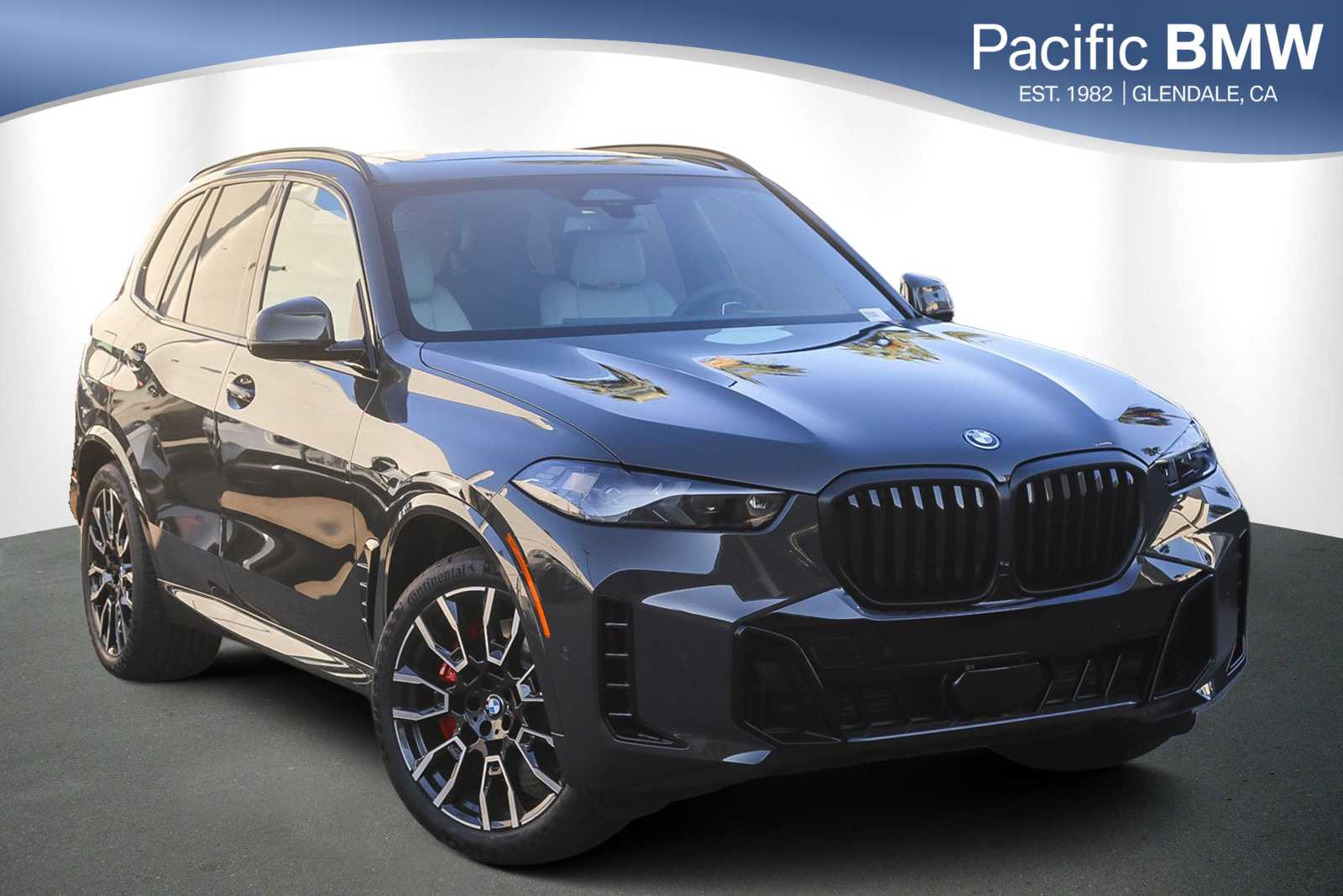 2026 BMW X5 50e's photo
