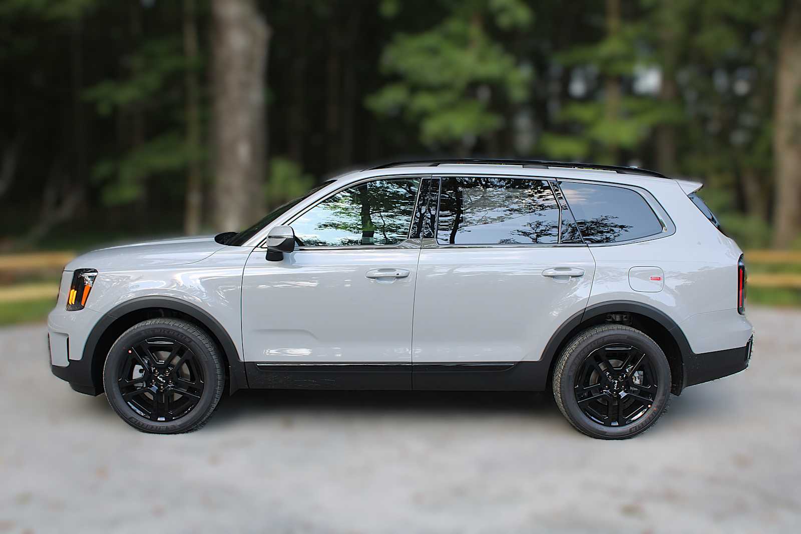 2025 Kia Telluride EX X-Line photo 4