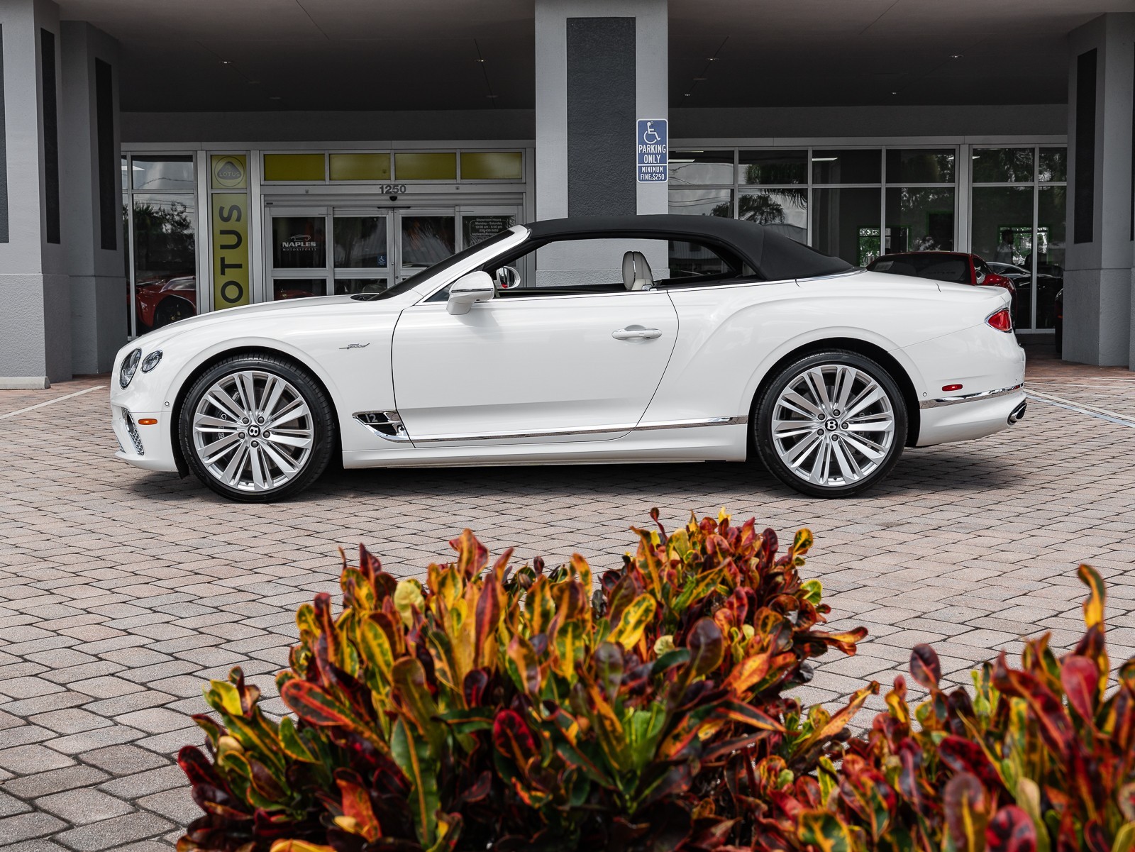 2022 Bentley Continental GTC Speed photo 35