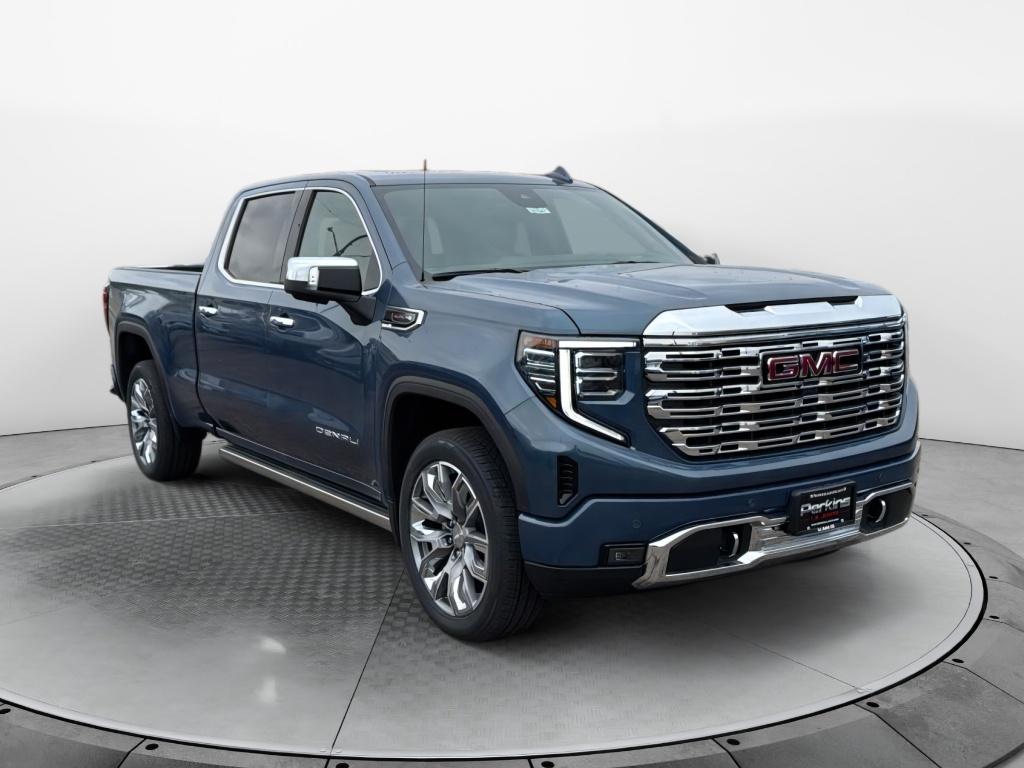 2025 Gmc Sierra 1500 Denali photo 3