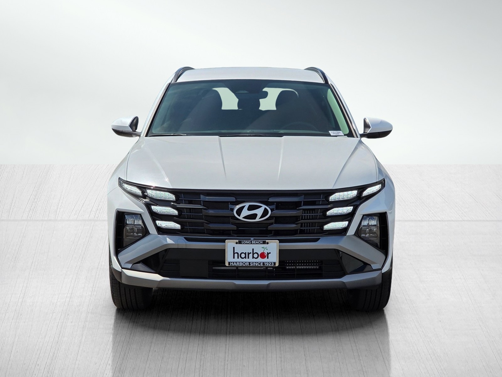 2025 Hyundai Tucson Hybrid Blue photo 2