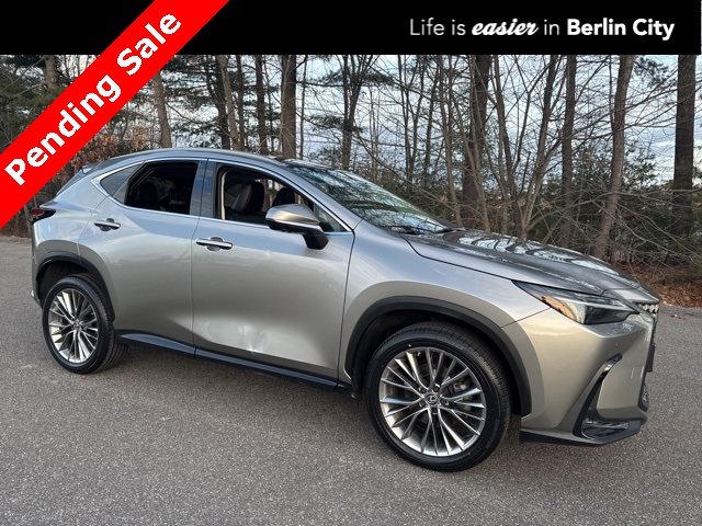 2022 Lexus NX Hybrid 350h's photo