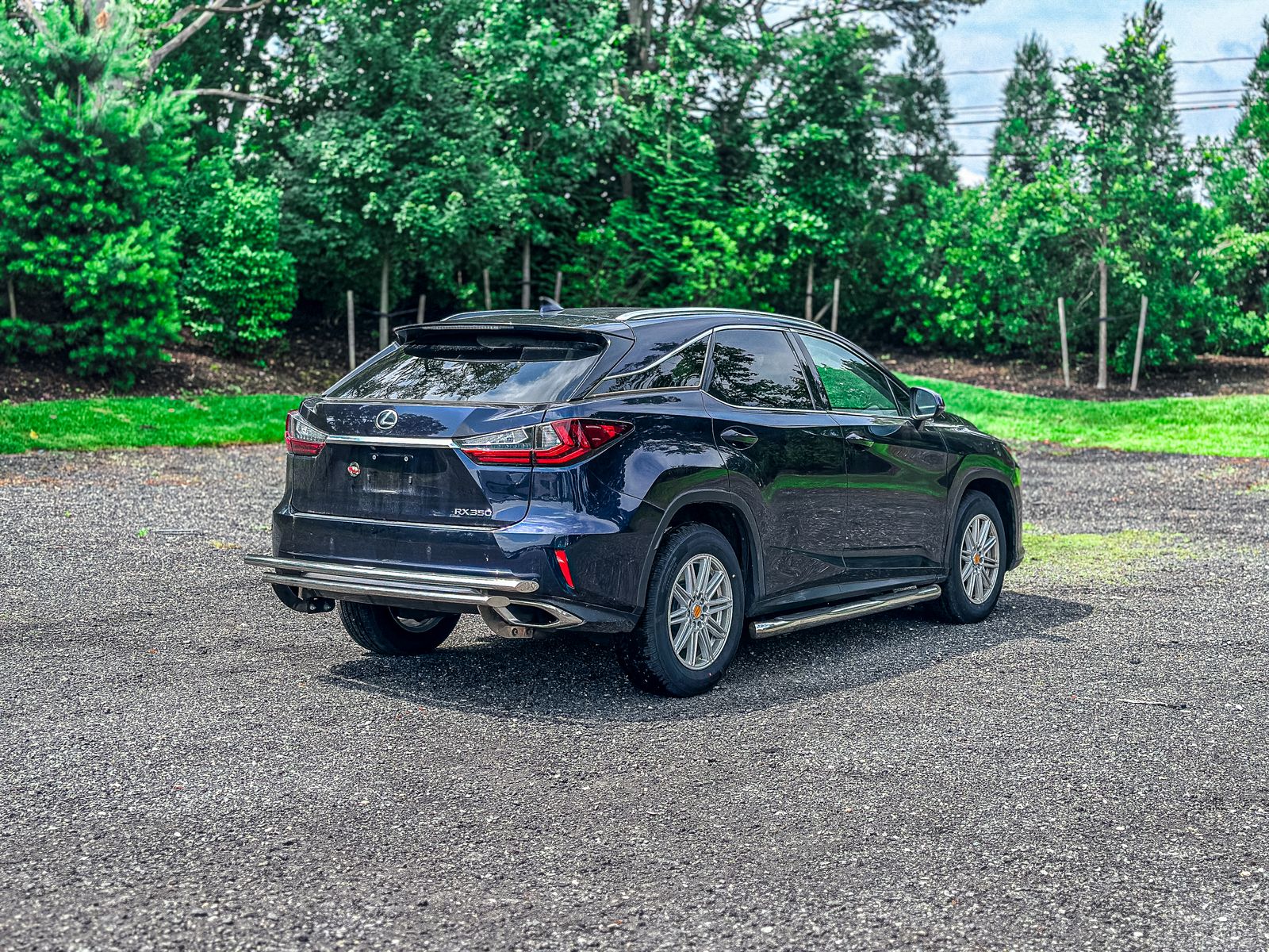 2019 Lexus RX 350 photo 6