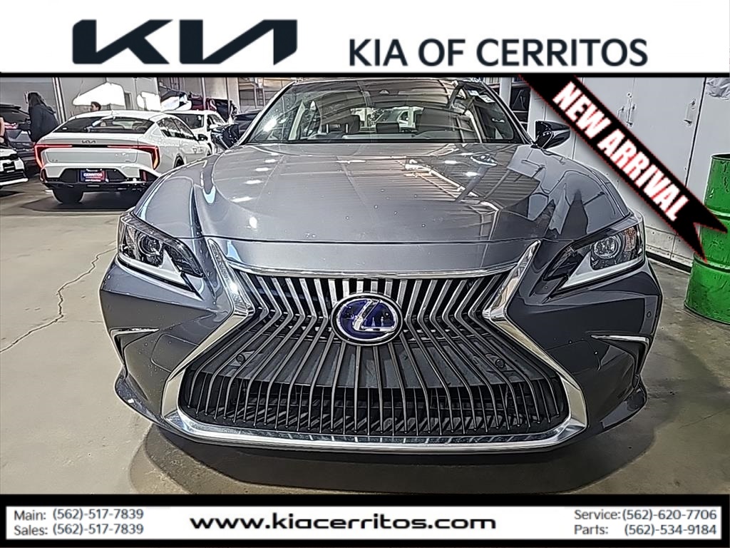 2019 Lexus ES 300h photo 2