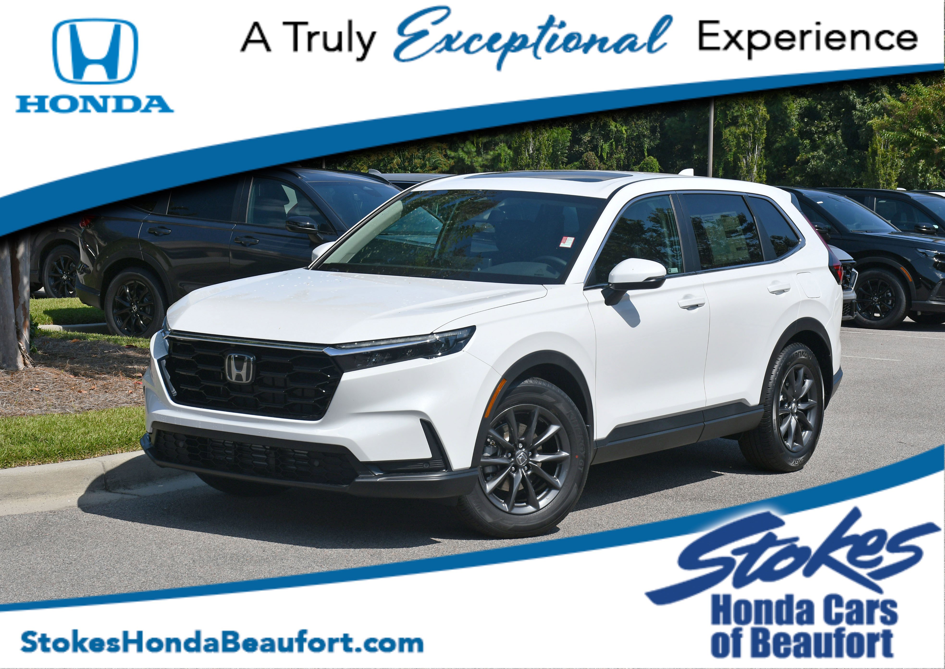 2026 Honda CR-V EX-L's photo