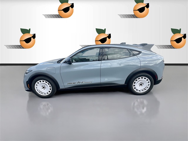 2025 Ford Mustang Mach-E GT photo 4