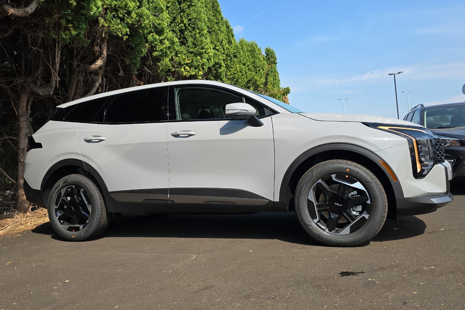 2026 Kia Sportage Hybrid S photo 2