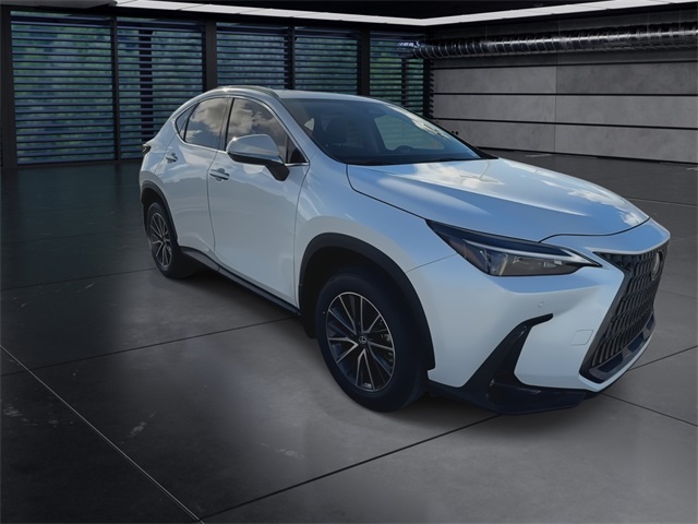 2025 Lexus NX 350h photo 2