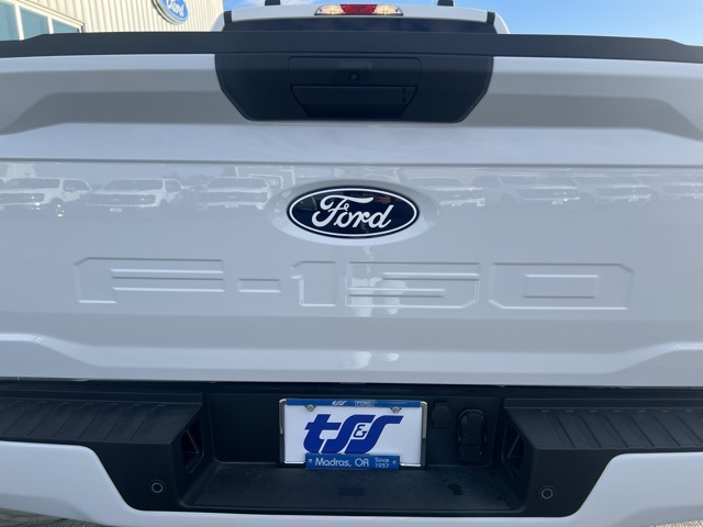 2024 Ford F-150 STX photo 9