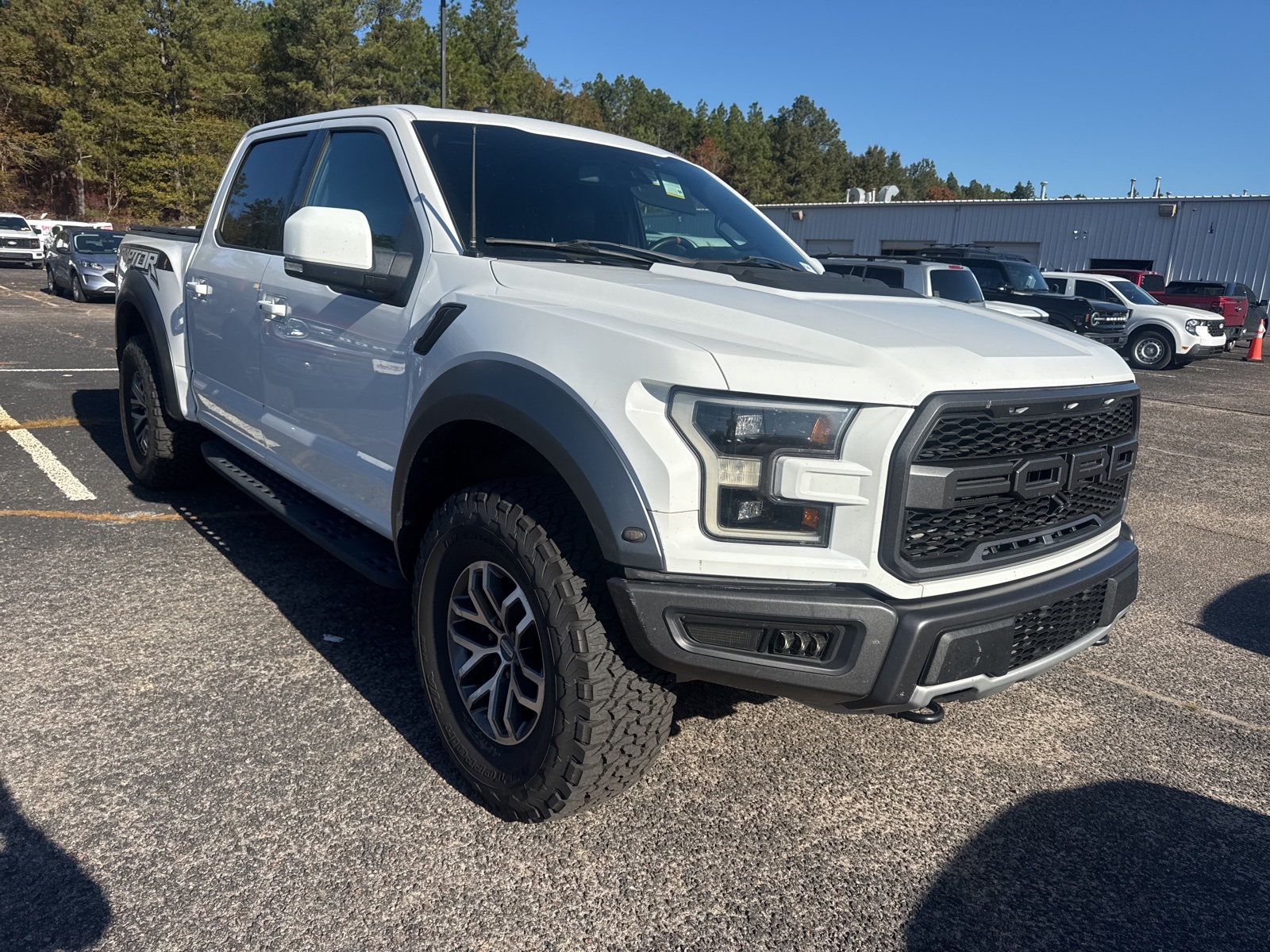2017 Ford F-150 Raptor