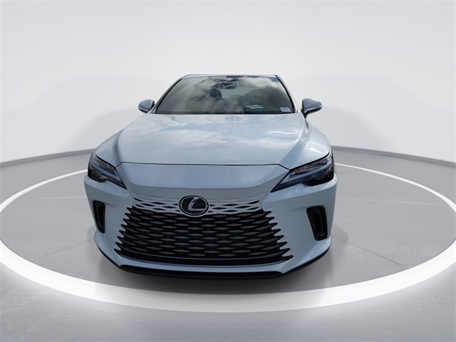 2025 Lexus RX photo 3