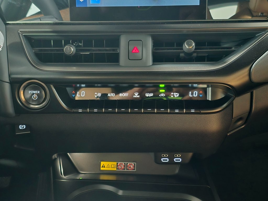 2025 Lexus UX photo 19