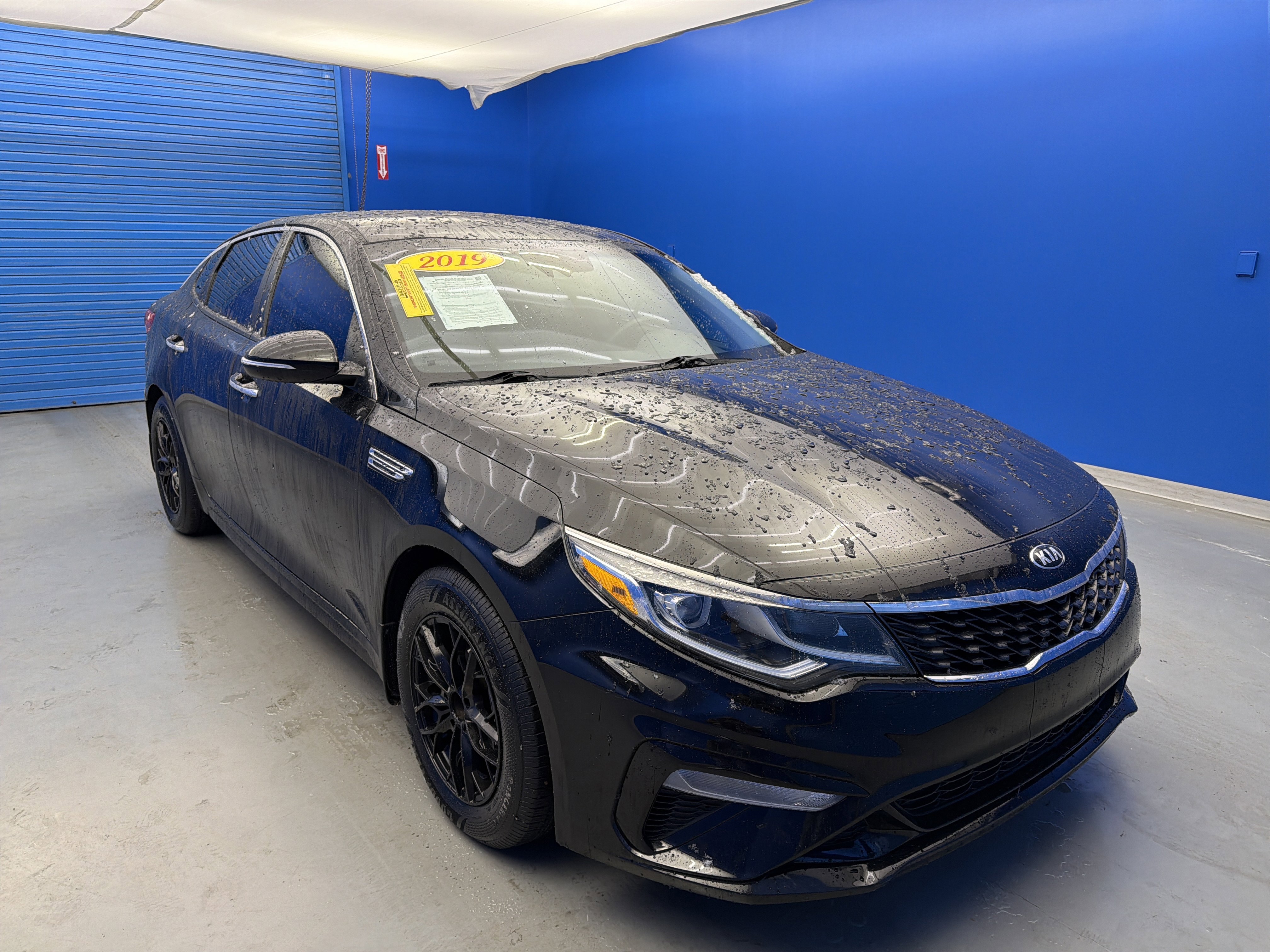 Used 2019 Kia Optima LX with VIN 5XXGT4L30KG379411 for sale in Jeffersontown, KY