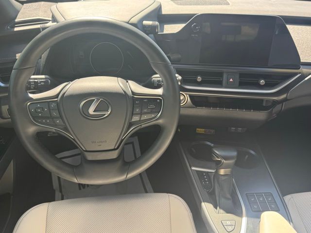 2024 Lexus UX 250h F SPORT Design photo 15