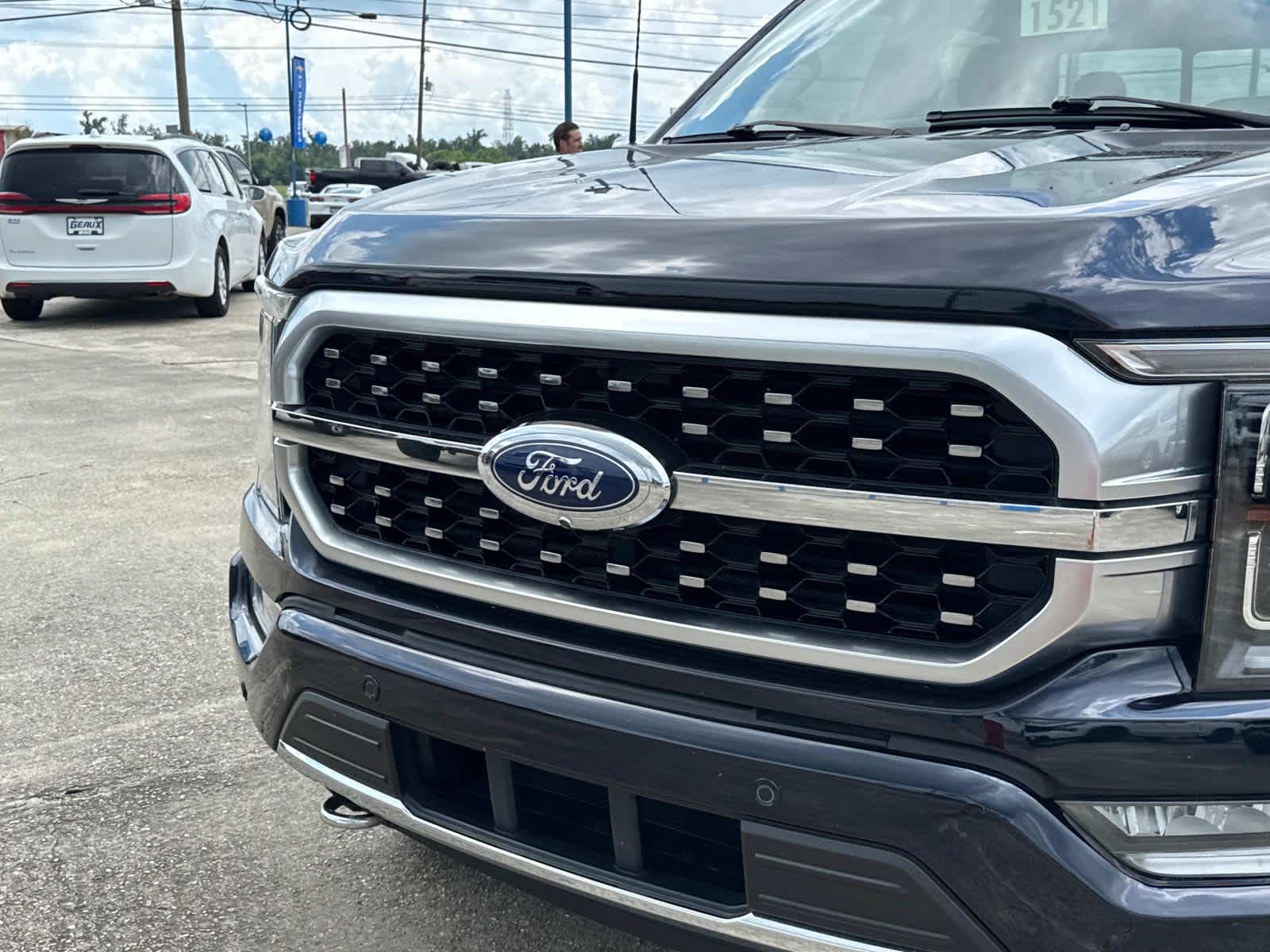 2021 Ford F-150 Platinum photo 3