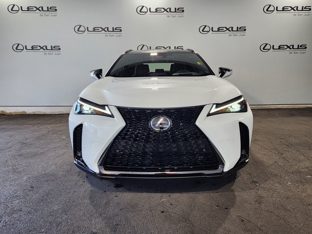 2025 Lexus UX photo 5
