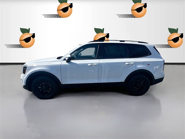 2025 Kia Telluride SX X-Line photo 4
