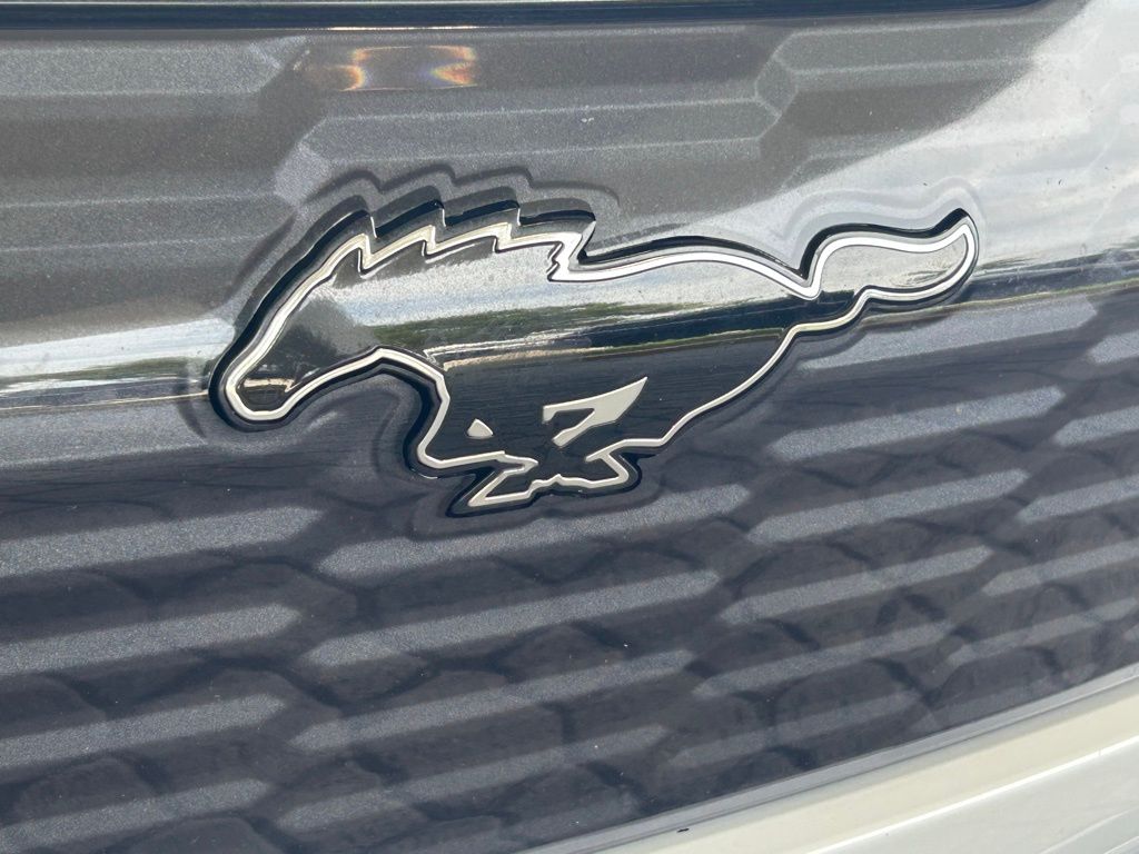 2022 Ford Mustang Mach-E GT photo 18
