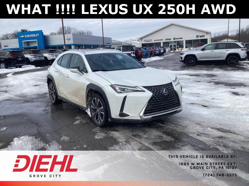 2020 Lexus UX Base's photo