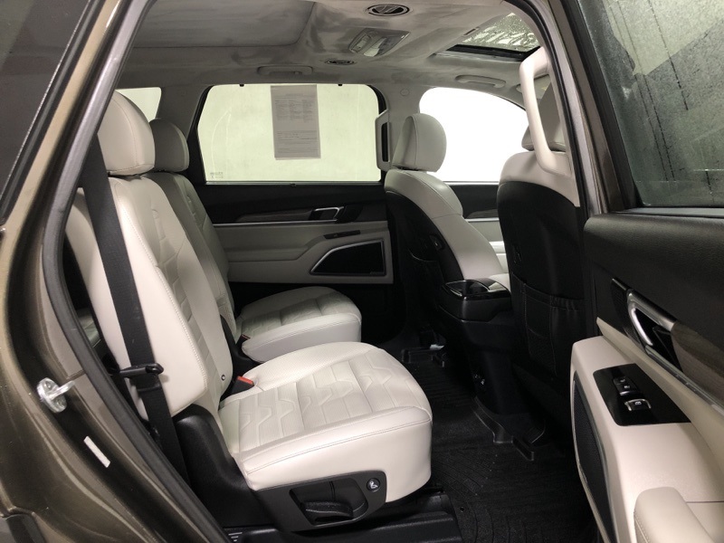 2022 Kia Telluride SX photo 8