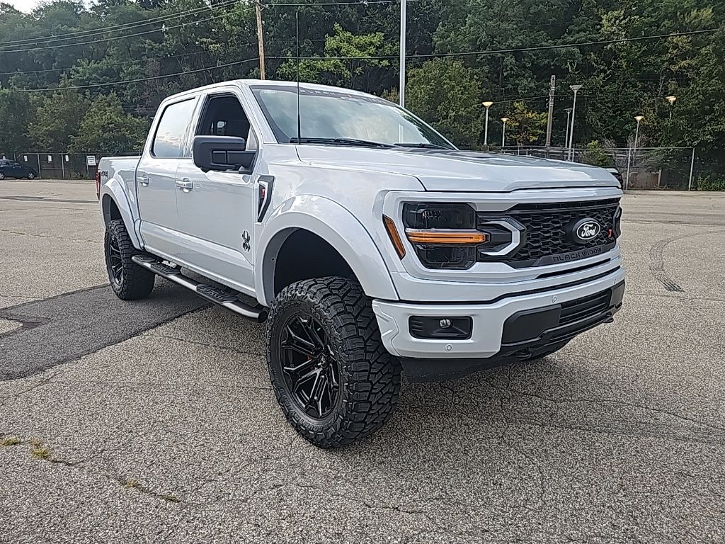 2025 Ford F-150 XLT photo 3