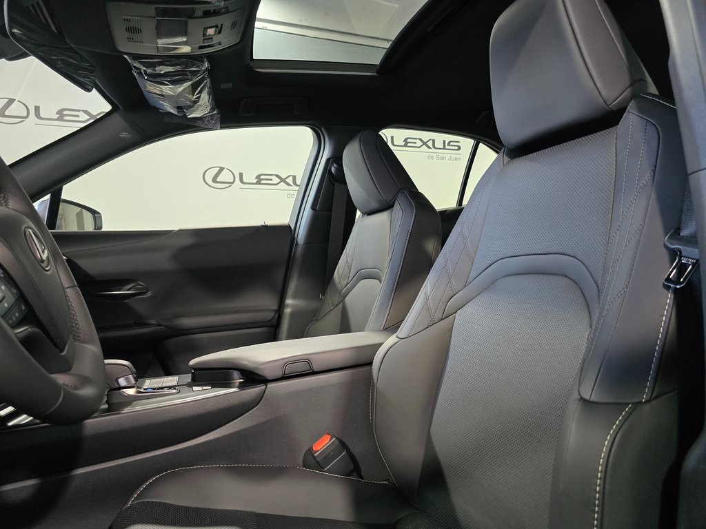 2025 Lexus UX photo 13