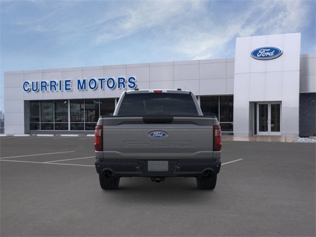 2025 FORD F-150 - Image 27
