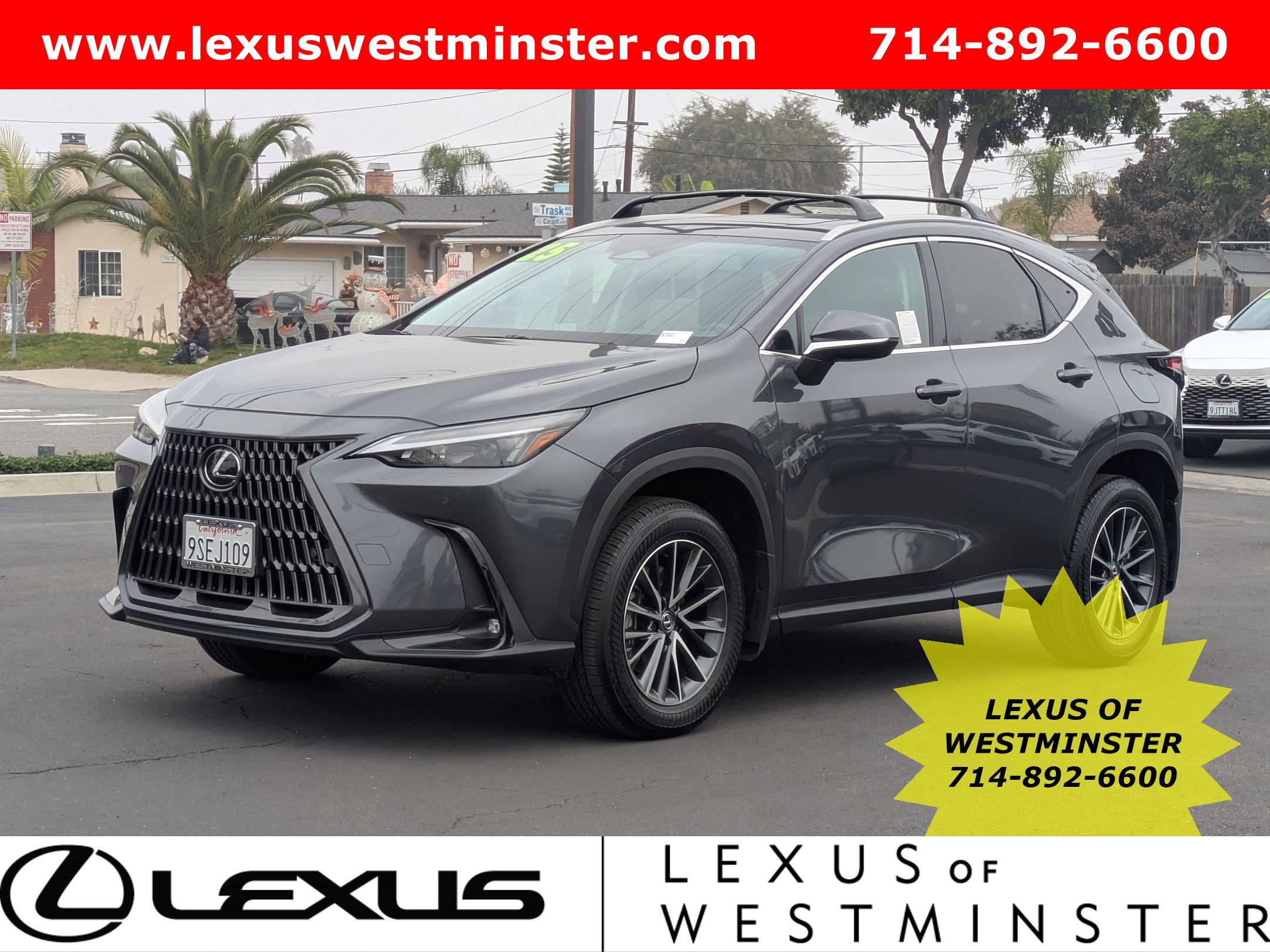 2025 Lexus NX 250