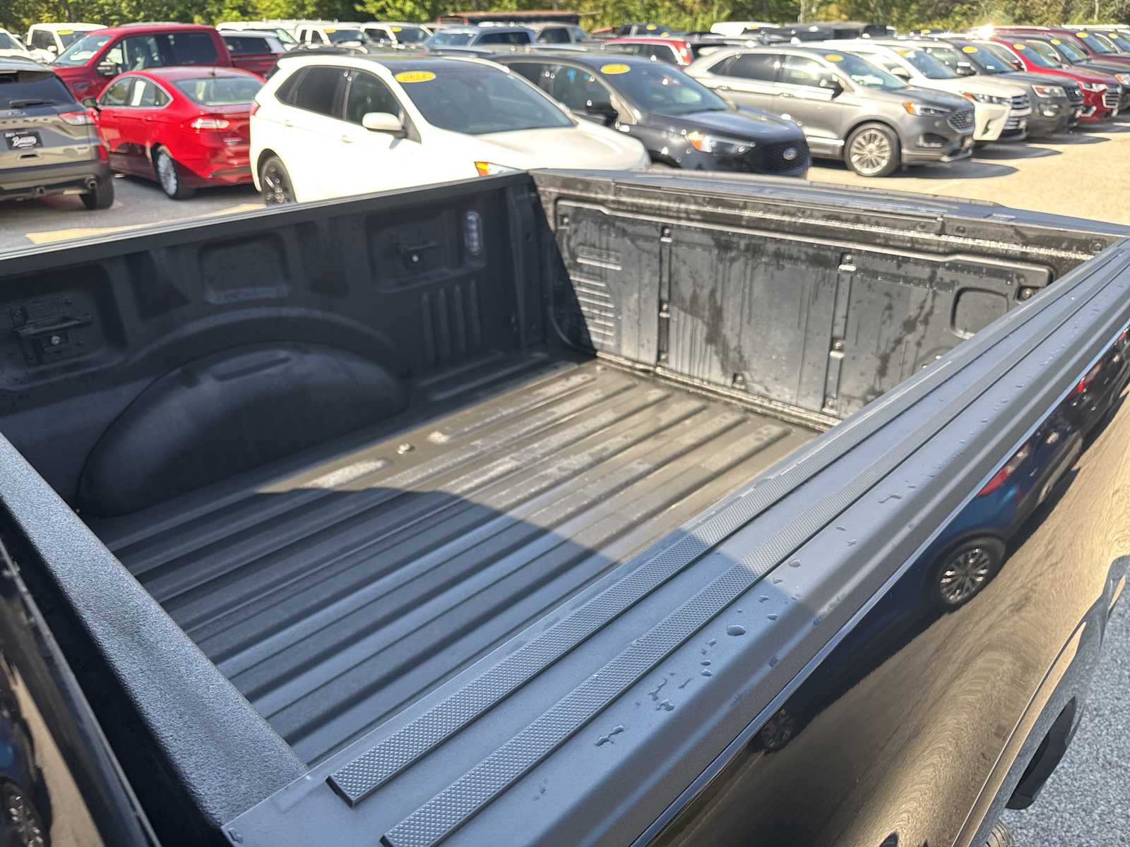 2023 Ford F-150 Platinum photo 15