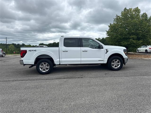 2024 Ford F-150 XLT photo 3