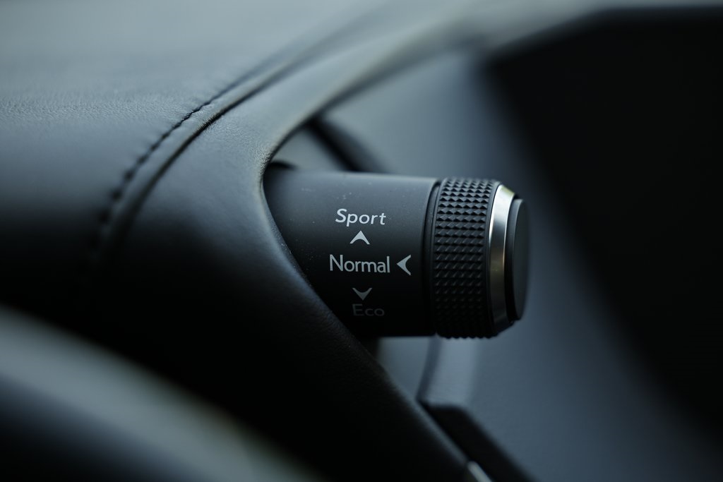 2021 Lexus ES 300h photo 33